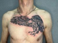 Михаил Сиротин, изображение к комментарию.